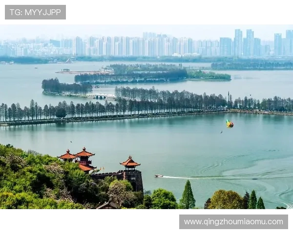 武汉极限运动队的蜕变与成长之路全景纪实